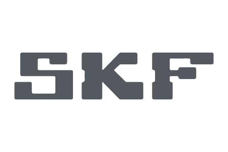 er-informatica-skf